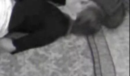 التقيت به في الموقع الاول لافلام السكس بالعربي فندق شقراء ريتا