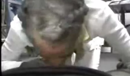 القط الفرنسي افلام عربي سكي الأسطورة أليكس قضيب بوبي ديلان!