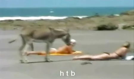 لدي هدية سكس محارم عربي خاصة جدا أنا أريد أن أقدم لكم