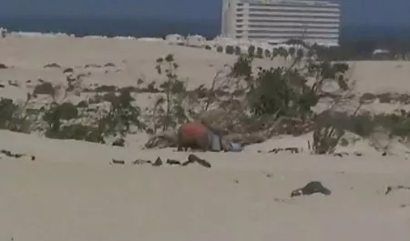 عيون حكة سكس عربي أفلام ريمكس