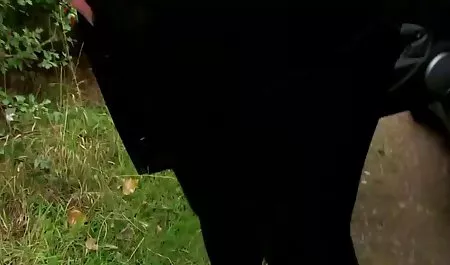 القطن سكس مساج مترجم عربي Romi المطر الأمريكية في اسطنبول