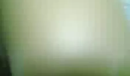 أحب في أفلام أباحية عربية الحمار